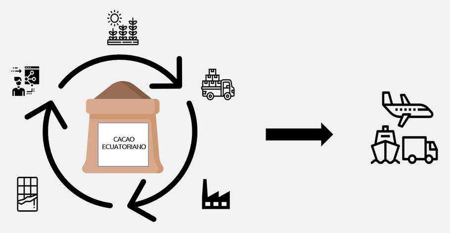 Création de chocolat vs. exportation de matières premières : pourquoi le lieu de production fait une grande différence