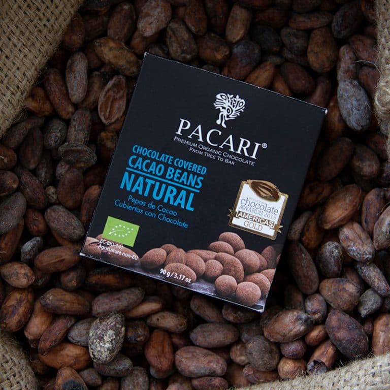 Fèves de cacao au chocolat